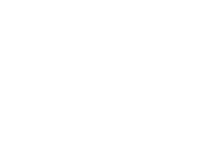 shishehgar